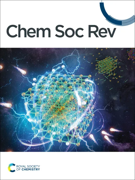 Chem Soc Rev journal cover