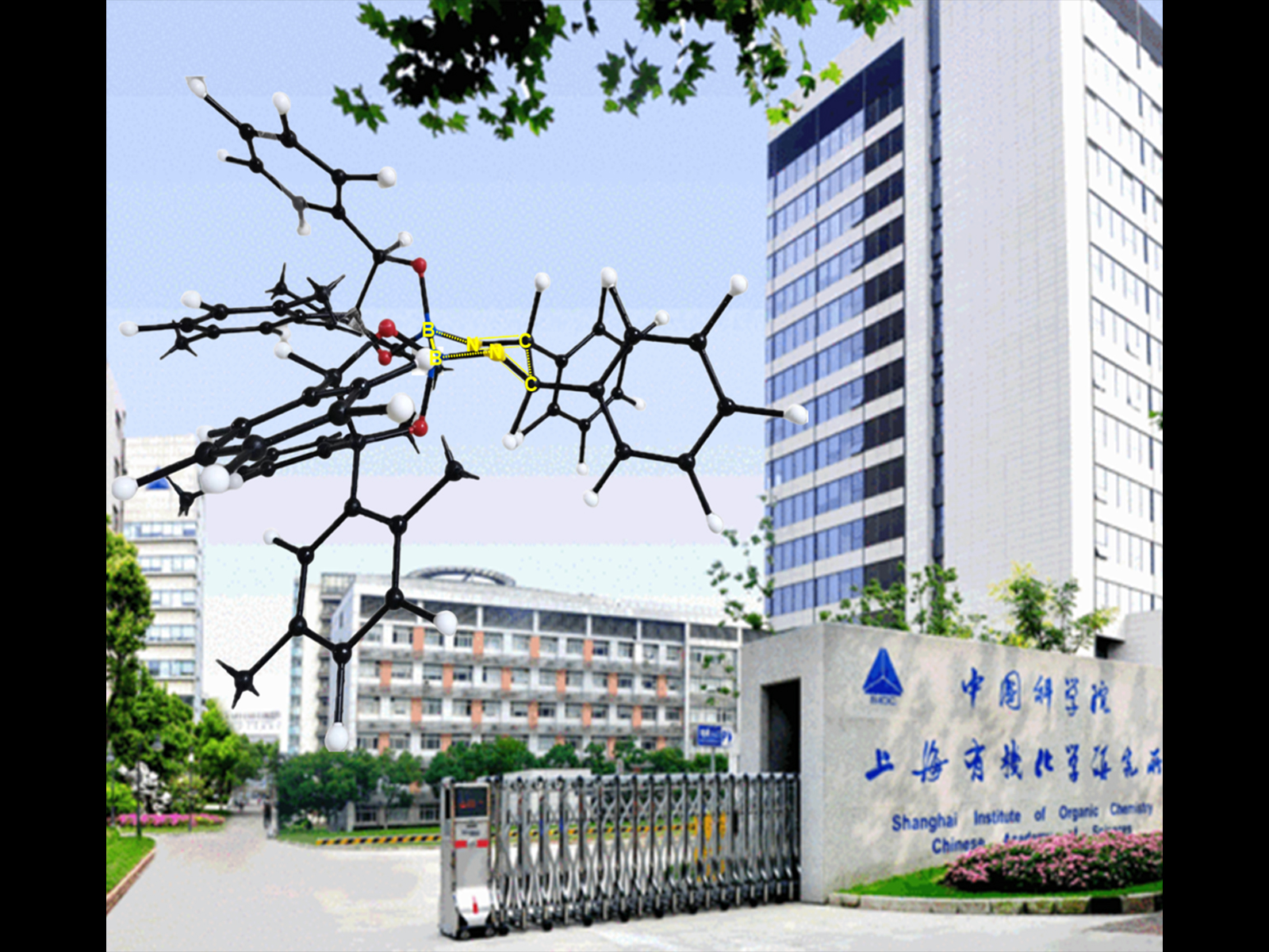 Chiral Vicinal Diamines