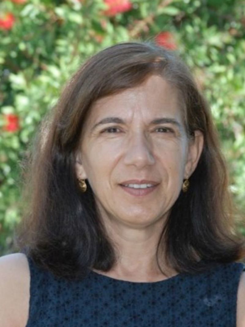 Maria do Ros&aacute;rio Domingues