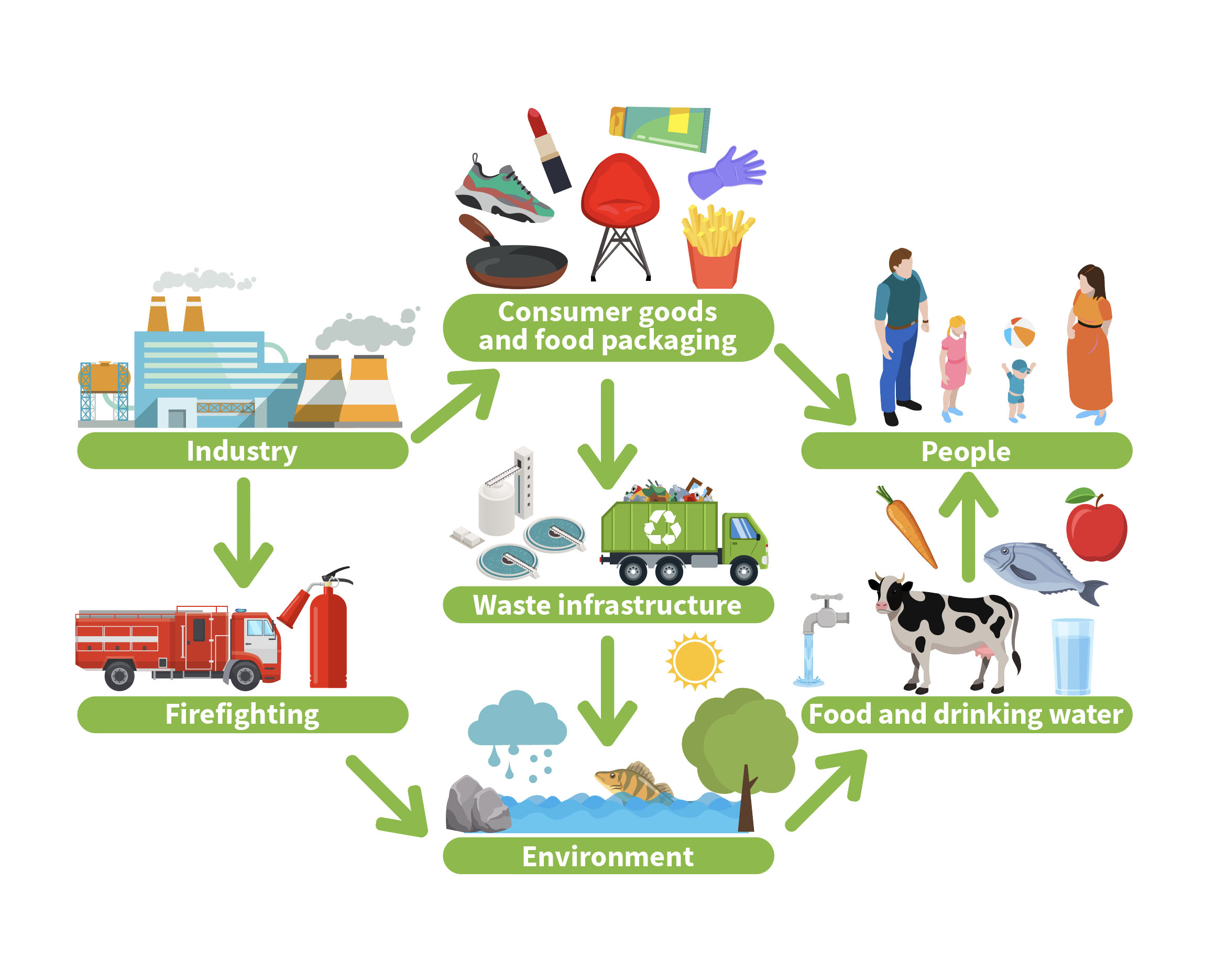 This graphic shows the flow of PFAS from their formation through their useful life and eventually into the human body. Starting in the top left is industry, represented by an illustration of a chemical plant. From here, PFAS are used in firefighting materials, namely the foam used in fire engines and extinguishers, both of which are pictured at the bottom of the left-hand column. PFAS also go into consumer goods and food packaging, which is at the top of the second column and represented by a trainer, a pan, a glove, a chair, a lipstick and a chip container. From consumer goods, PFAS then travel through waste infrastructure, visually represented by a water treatment plant and a bin wagon in the middle of the second column. Firefighting run-off and water infrastructure discharge then go into the environment, which is shown at the bottom of the second column with a water course and a fish. The PFAS then go into food and drinking water, which are represented at the bottom of the third column with a cow, apple, fish, carrot and glass of water. From here, they go into people, which are located at the top of the third column.