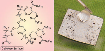 Water droplets roll off the surface of paper modified with fluorinated brush-like molecules Water droplets roll off the surface of paper modified with fluorinated brush-like molecules
