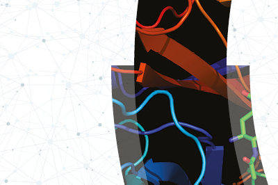 Medicinal chemistry summer school 2026 Teaser Image