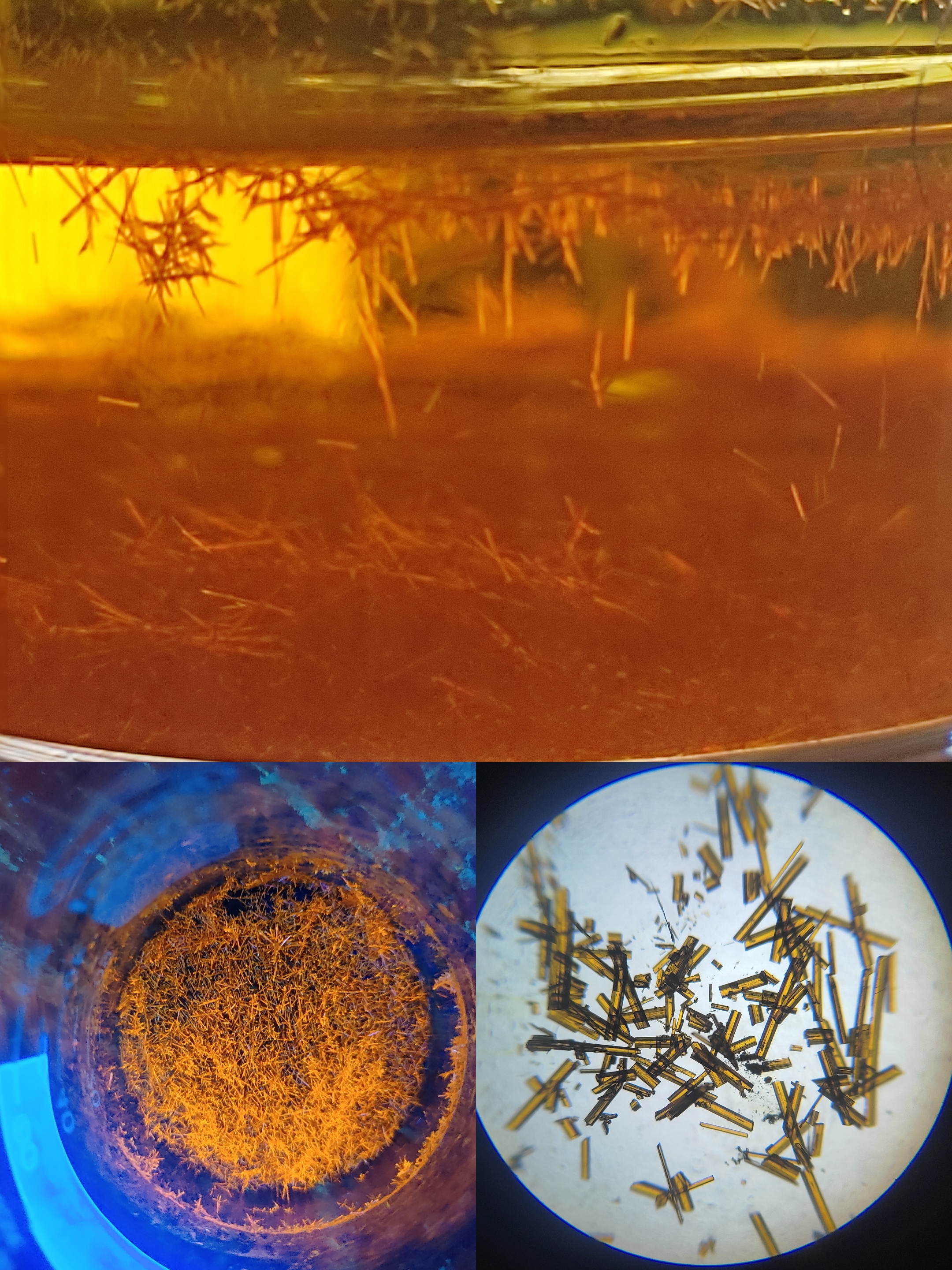 Shaista Lone's 'Crystal in Beaker under UV' shows multicoloured crystals