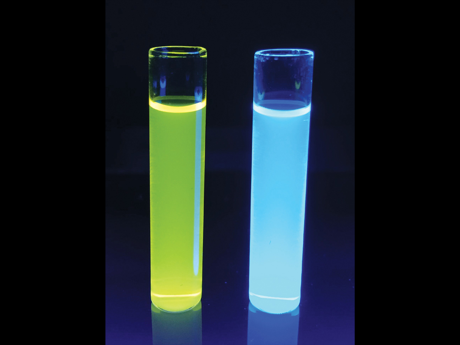 The Northumbria-Sunderland-Freeman-bioM?rieux collaboration