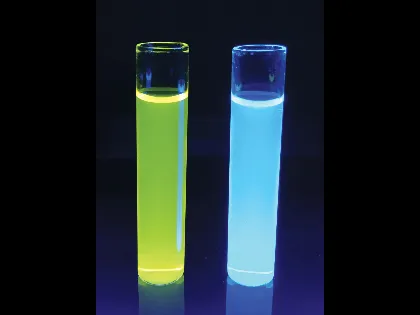 The Northumbria-Sunderland-Freeman-bioM?rieux collaboration