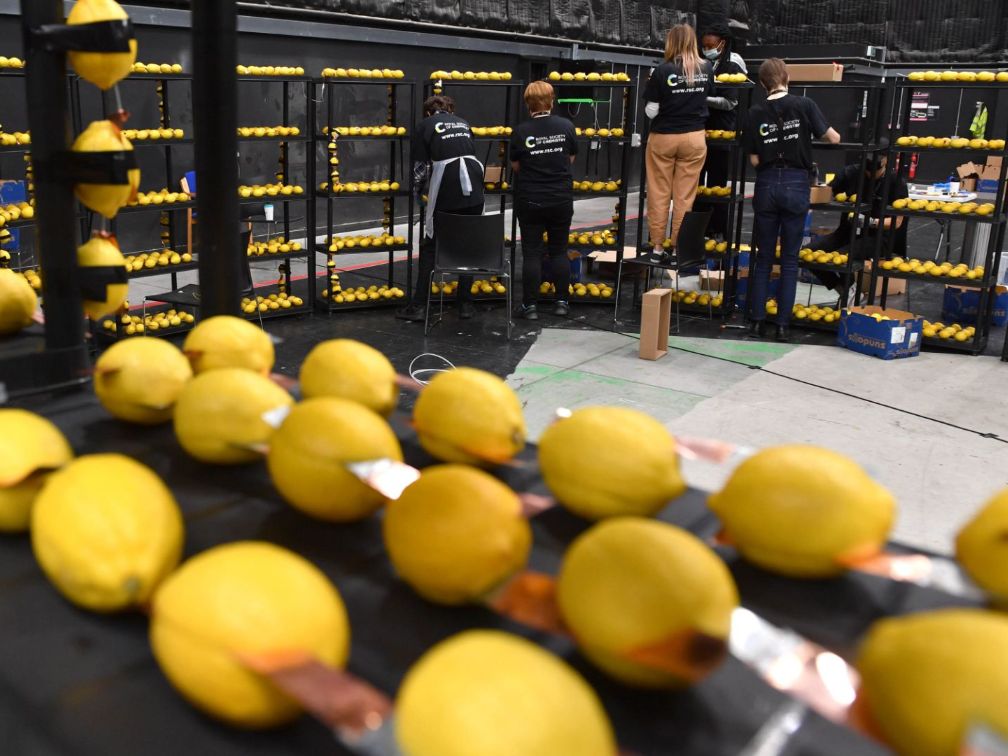 Lemon battery set up on shelving