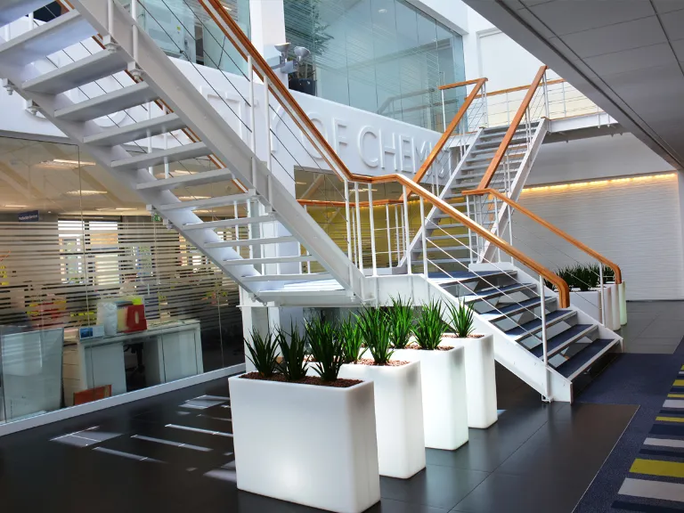 a staircase with plants in Thomas Graham House