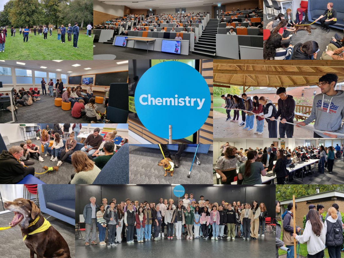 A collage of photos of people networking, at We are Chemistry (WaC) engagement events