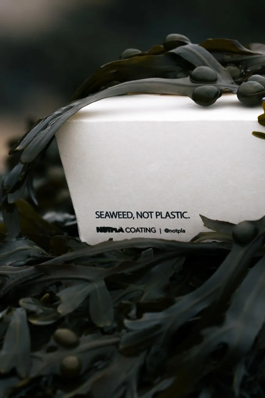 A Notpla takeaway box made with Notpla coating