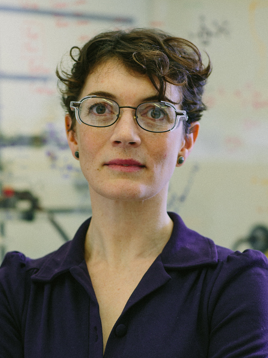 Professor Polly Arnold Professor Polly Arnold