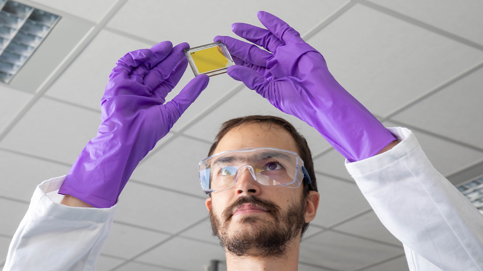 PISCO Team member wearing purple gloves and holding a yellow specimen up to the light