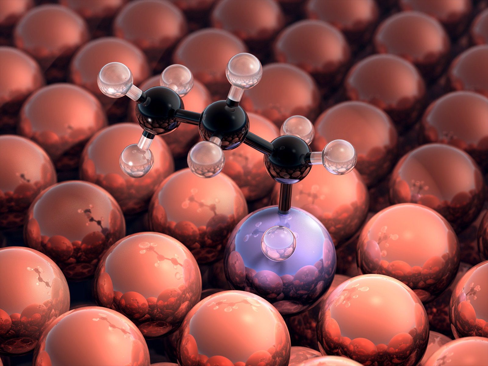 Single Atom Alloy Catalysis