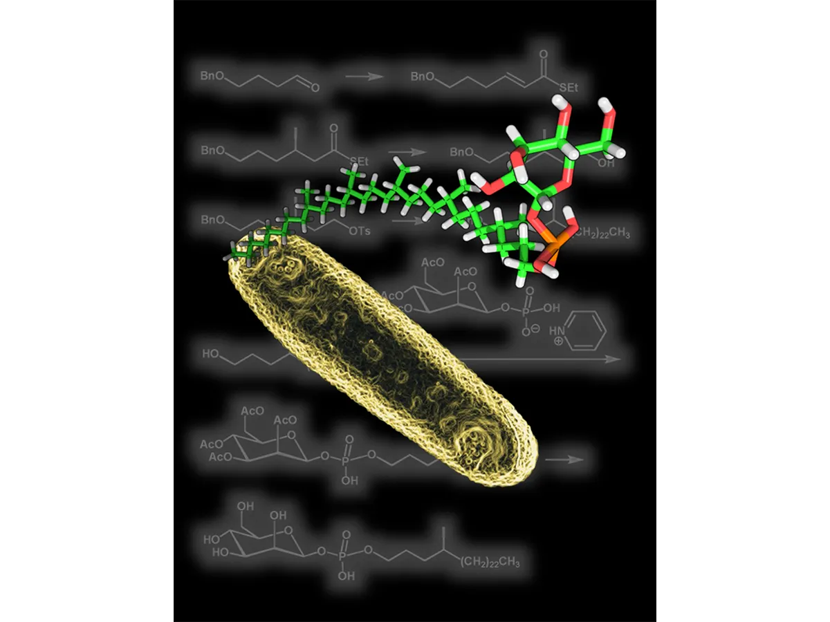 A close-up of a molecular structure by The Lipidomics Team