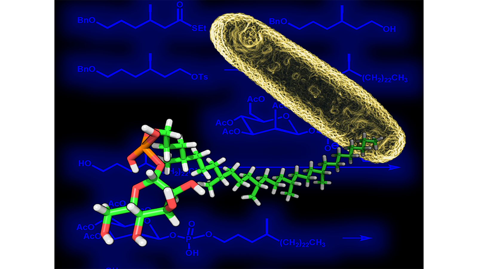 A close-up of a molecule by The Lipidomics Team