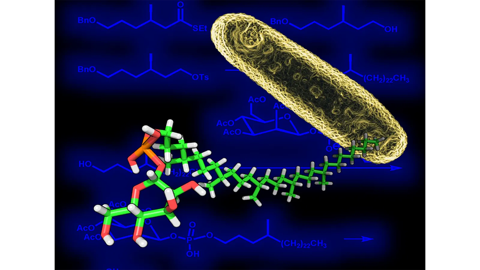 A close-up of a molecule by The Lipidomics Team