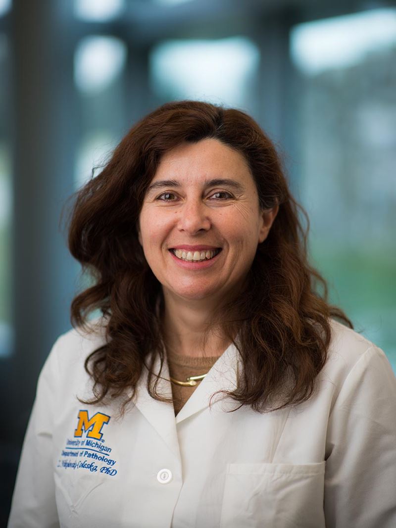 Zaneta Nikolovska-Coleska