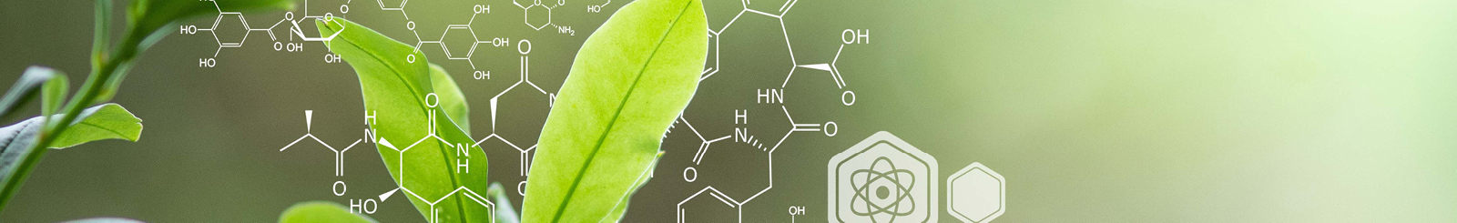 Directing Biosynthesis VIII Main Image