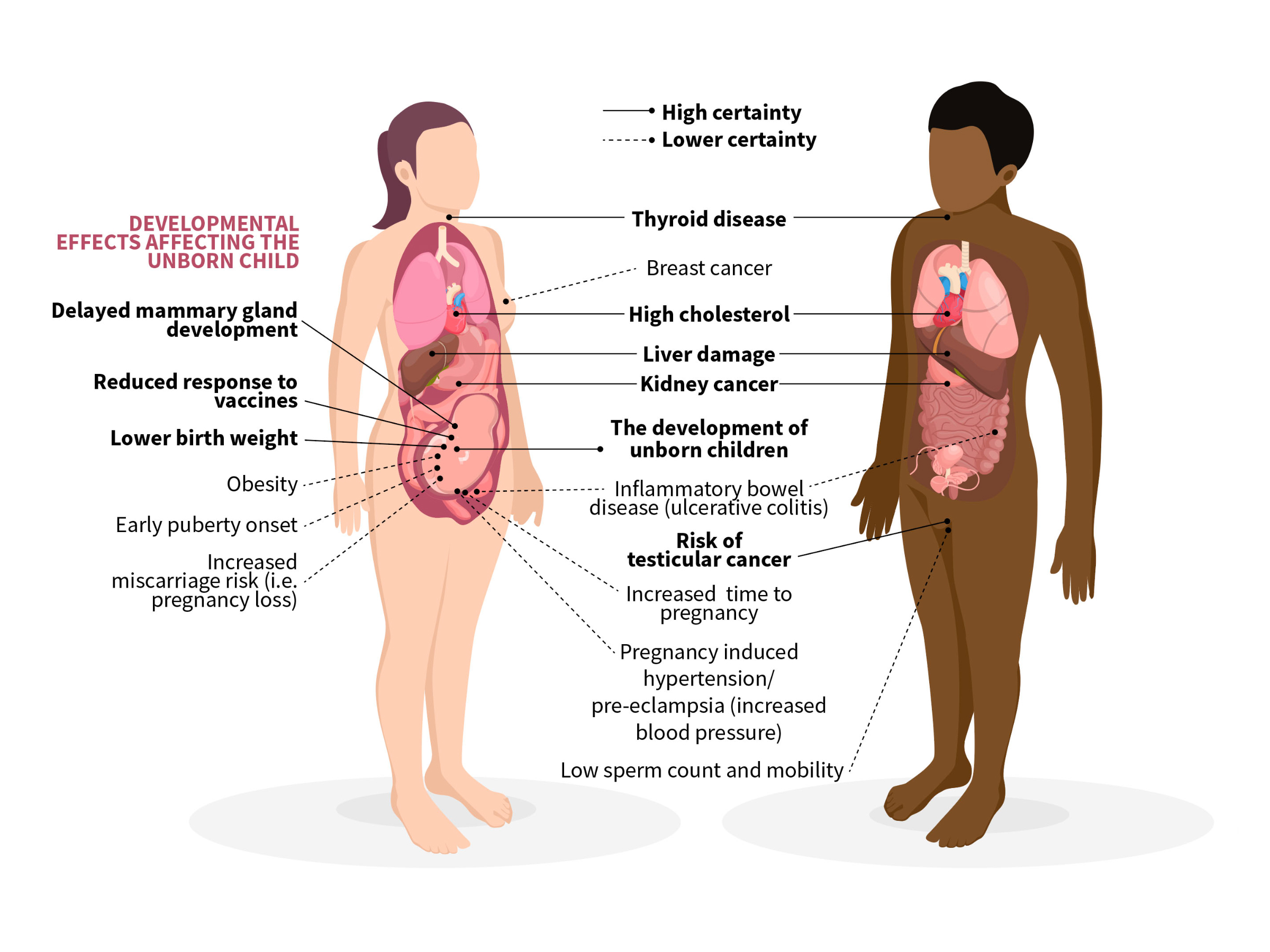 Effects of PFAS on human health Effects of PFAS on human health