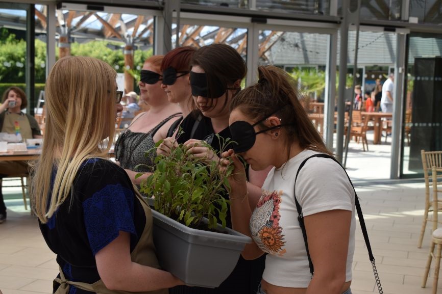 Blindfolded women line up to guess a plant by smell at a sensory laboratory Blindfolded women line up to guess a plant by smell at a sensory laboratory