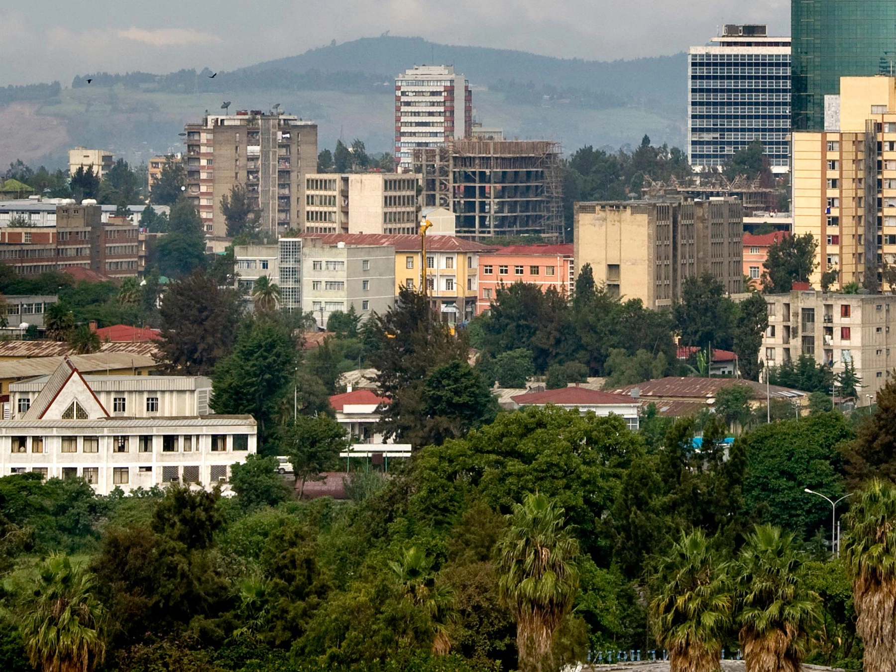 Image showing tall buildings and trees around Addis Ababa in Ethiopia
