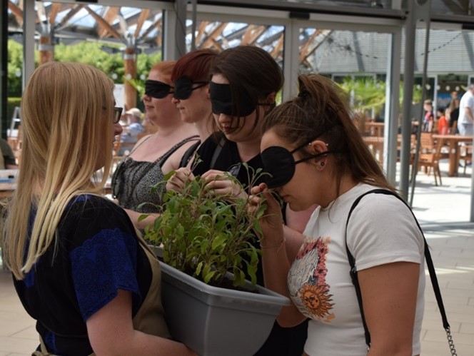 Blindfolded women line up to guess a plant by smell at a sensory laboratory 