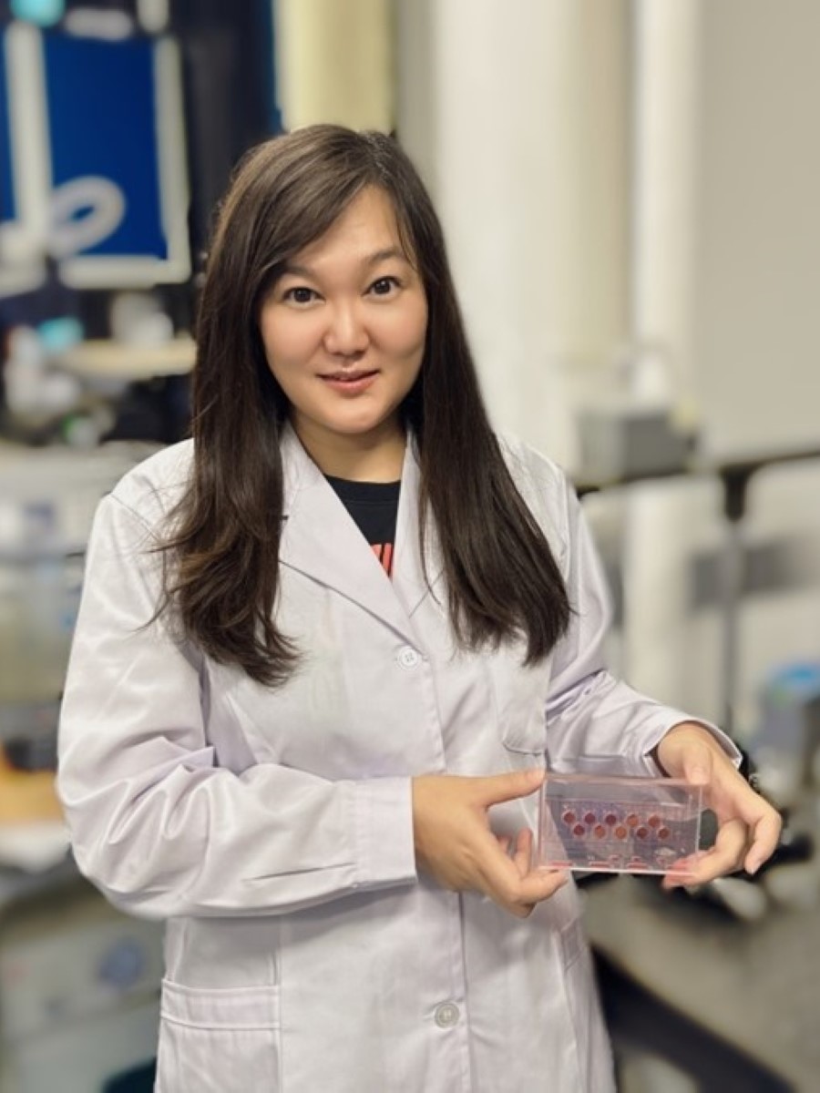 jiashu-sun-loc-lectureship