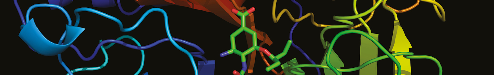 Medicinal chemistry summer school 2026 Main Image